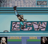 Image in-game du jeu ECW Hardcore Revolution sur Nintendo Game Boy Color