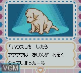 Image in-game du jeu Nakayoshi Pet Series 3 - Kawaii Koinu sur Nintendo Game Boy Color