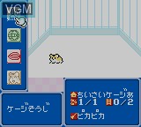Image in-game du jeu Hamster Club sur Nintendo Game Boy Color