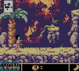 Image in-game du jeu Jungle Book, The - Mowgli's Wild Adventure sur Nintendo Game Boy Color