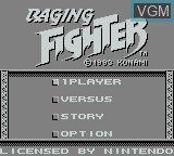 Image de l'ecran titre du jeu Raging Fighter sur Nintendo Game Boy