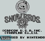 Image de l'ecran titre du jeu Snow Brothers Jr. sur Nintendo Game Boy