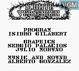 Image de l'ecran titre du jeu Schiffe Versenken sur Nintendo Game Boy