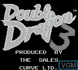 Image de l'ecran titre du jeu Double Dragon 3 - The Arcade Game sur Nintendo Game Boy