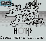 Image de l'ecran titre du jeu Hyper Black Bass sur Nintendo Game Boy