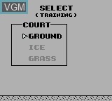 Image du menu du jeu Magnetic Soccer sur Nintendo Game Boy