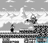 Image in-game du jeu Looney Tunes sur Nintendo Game Boy