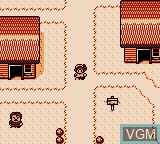 Image in-game du jeu Mahoujin GuruGuru - Yuusha to Kukuri no Daibouken sur Nintendo Game Boy