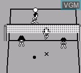 Image in-game du jeu Malibu Beach Volleyball sur Nintendo Game Boy