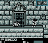 Image in-game du jeu Tokyo Disneyland - Mickey no Cinderella Shiro Mystery Tour sur Nintendo Game Boy