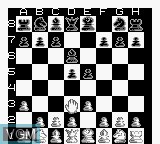 Image in-game du jeu New Chessmaster, The sur Nintendo Game Boy