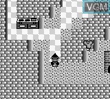 Image in-game du jeu Painter Momopie sur Nintendo Game Boy