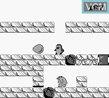 Image in-game du jeu Penguin Land sur Nintendo Game Boy