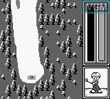 Image in-game du jeu Pocket Golf sur Nintendo Game Boy