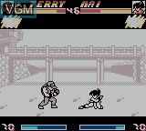 Image in-game du jeu Nettou Real Bout Garou Densetsu Special sur Nintendo Game Boy