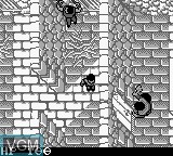Image in-game du jeu Robin Hood - Prince of Thieves sur Nintendo Game Boy