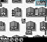 Image in-game du jeu 3 Choume no Tama - Tama and Friends - 3 Choume Obake Panic!! sur Nintendo Game Boy