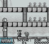 Image in-game du jeu RodLand sur Nintendo Game Boy