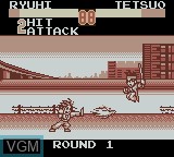 Image in-game du jeu SD Hiryu no Ken Gaiden sur Nintendo Game Boy