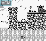 Image in-game du jeu Sneaky Snakes sur Nintendo Game Boy