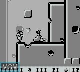 Image in-game du jeu Alfred Chicken sur Nintendo Game Boy