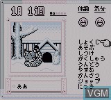 Image in-game du jeu Animal Breeder 2 sur Nintendo Game Boy