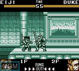 Image in-game du jeu Battle Arena Toshinden sur Nintendo Game Boy