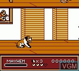 Image in-game du jeu Beethoven - The Ultimate Canine Caper sur Nintendo Game Boy