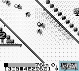 Image in-game du jeu Family Jockey 2 - Meiba no Kettou sur Nintendo Game Boy