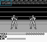 Image in-game du jeu Fighting Simulator - 2-in-1 Flying Warriors sur Nintendo Game Boy