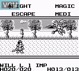 Image in-game du jeu Knight Quest sur Nintendo Game Boy