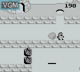 Image in-game du jeu Penguin Land sur Nintendo Game Boy
