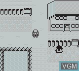Image in-game du jeu Pokemon Blue Version sur Nintendo Game Boy