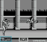 Image in-game du jeu Raging Fighter sur Nintendo Game Boy