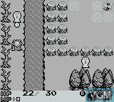 Image in-game du jeu Rolan's Curse 2 sur Nintendo Game Boy