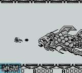 Image in-game du jeu Sagaia sur Nintendo Game Boy