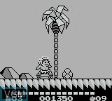 Image in-game du jeu Adventure Island II sur Nintendo Game Boy
