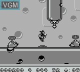 Image in-game du jeu Alfred Chicken sur Nintendo Game Boy