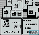 Image in-game du jeu Tokio Senki - Eiyuu Retsuden sur Nintendo Game Boy