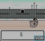 Image in-game du jeu Animal Breeder 2 sur Nintendo Game Boy
