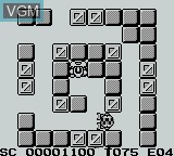 Image in-game du jeu Battle Bull sur Nintendo Game Boy
