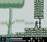 Image in-game du jeu Castlevania Legends sur Nintendo Game Boy