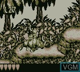 Image in-game du jeu Donkey Kong Land sur Nintendo Game Boy