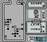 Image in-game du jeu Dr. Mario sur Nintendo Game Boy