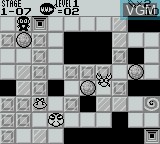 Image in-game du jeu Panel no Ninja Kesamaru sur Nintendo Game Boy