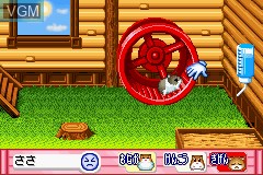 Image in-game du jeu Hamster Paradise Advanchu sur Nintendo GameBoy Advance