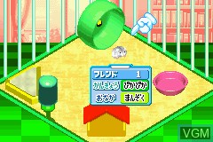 Image in-game du jeu Kawaii Hamster sur Nintendo GameBoy Advance