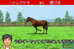 Image in-game du jeu Derby Stallion Advance sur Nintendo GameBoy Advance