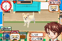 Image in-game du jeu Koinu to Issho! Aijou Monogatari sur Nintendo GameBoy Advance