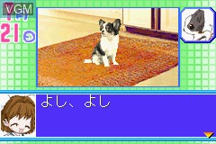 Image in-game du jeu Koinu to Issho 2 - Aijou Monogatari sur Nintendo GameBoy Advance